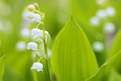 本周Fami通游戏评分出炉 《泡沫明星》获33分